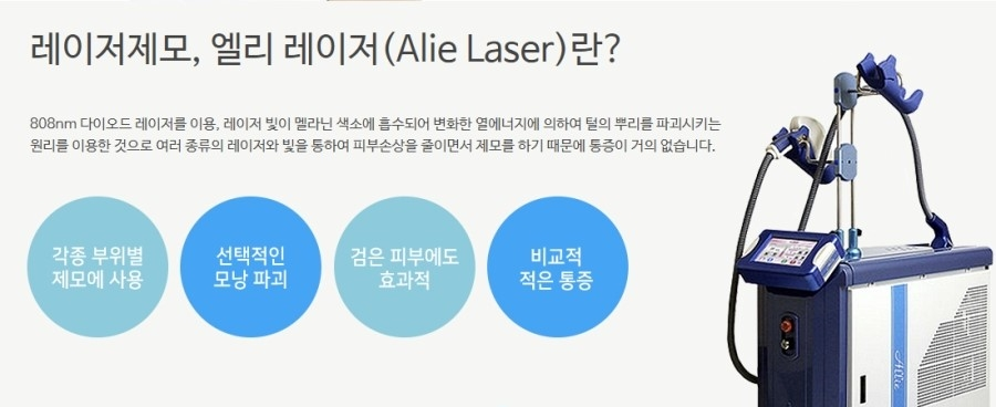 이미지명